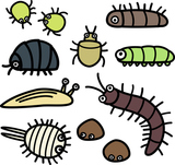 ��ʪ���դ�����Υ��饹�ȥ��å�