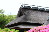 萱葺き屋根