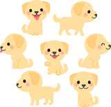 ��֥�ɡ����ȥ�С��Υ��饹�ȥ��å�