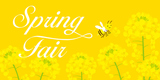 ミツバチと菜の花　スプリングフェア