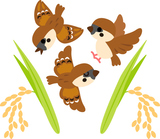 3���Υ�����Ȱ���